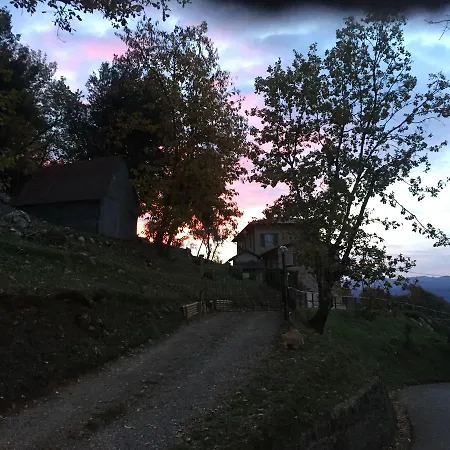Alle Vignole *